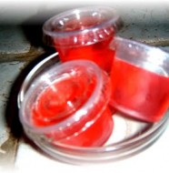 watermelon jolly rancher recipe