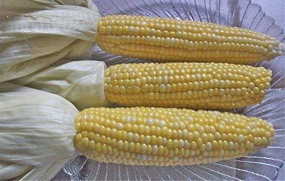 Oven Roasted Corn On the Cob-image
