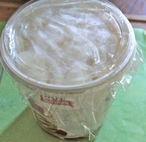 storing homemade frozen yogurt drops 