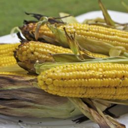 easy grilled corn on the cob recipe in husk