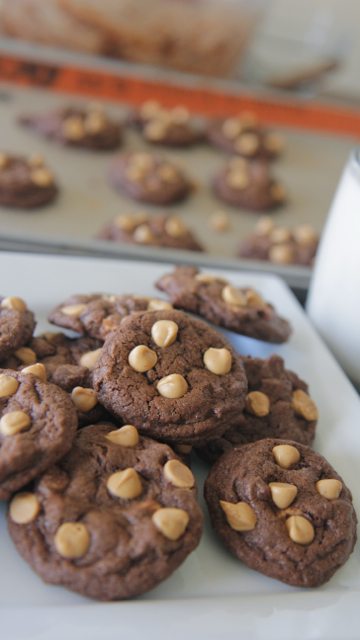 chewy chocolate peanut butter chip cookies recipe