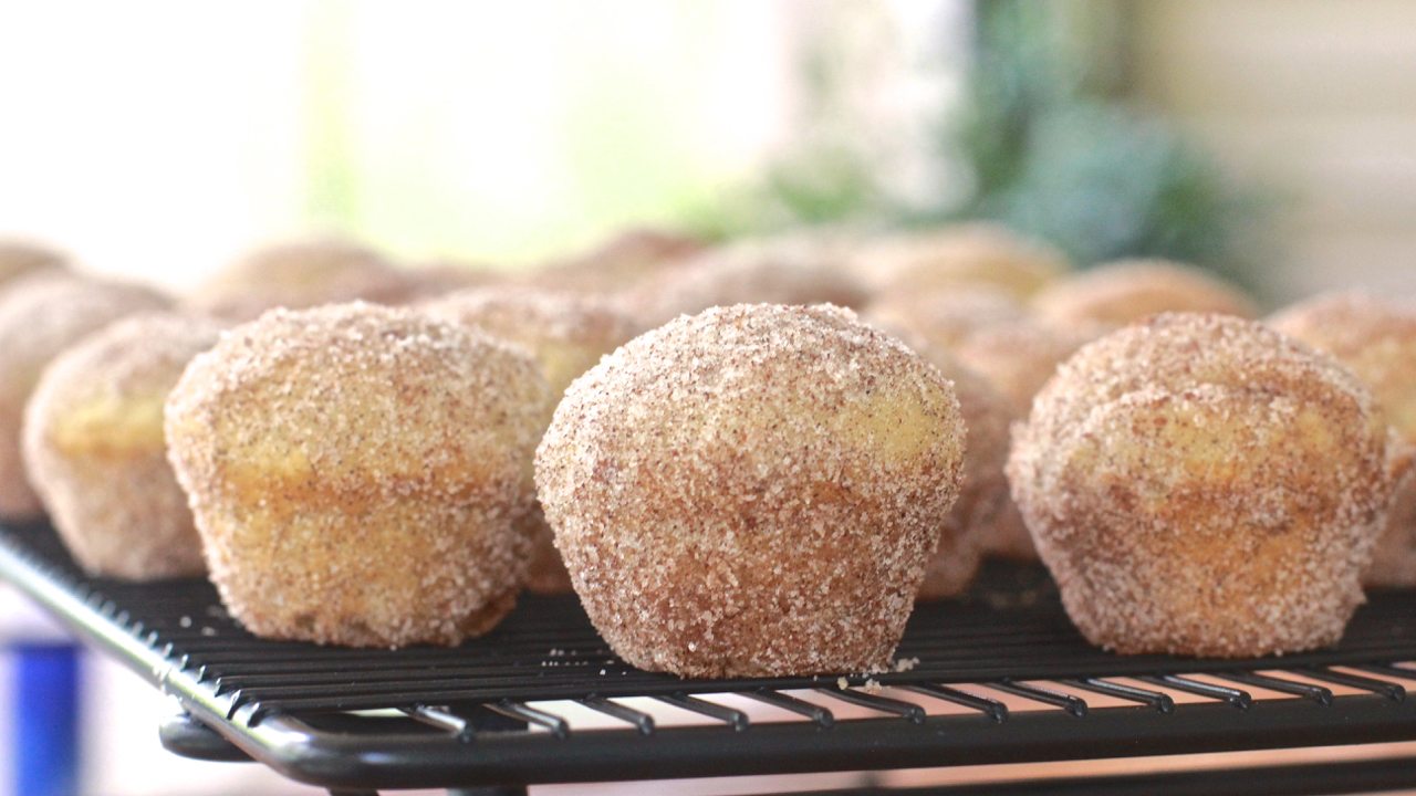 best cinnamon sugar doughnut muffins