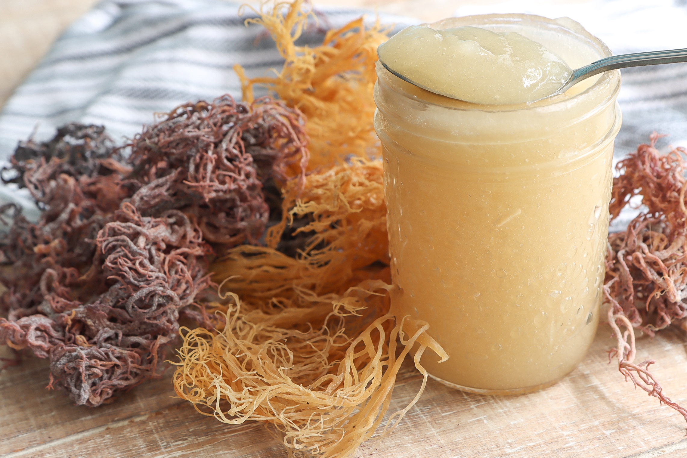 How to Make Sea Moss Gel EASILY + VIDEO - Divas Can Cook