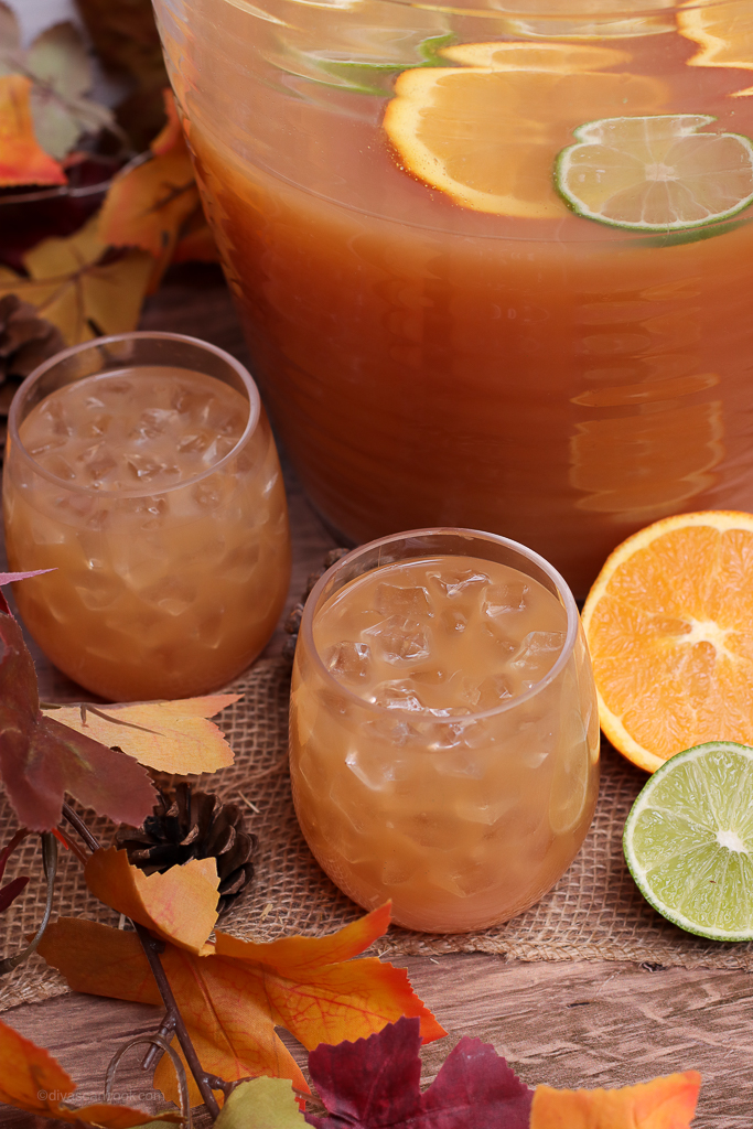 Thanksgiving Punch - Eating on a Dime
